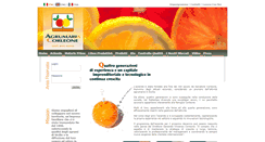 Desktop Screenshot of agrumariacorleone.com